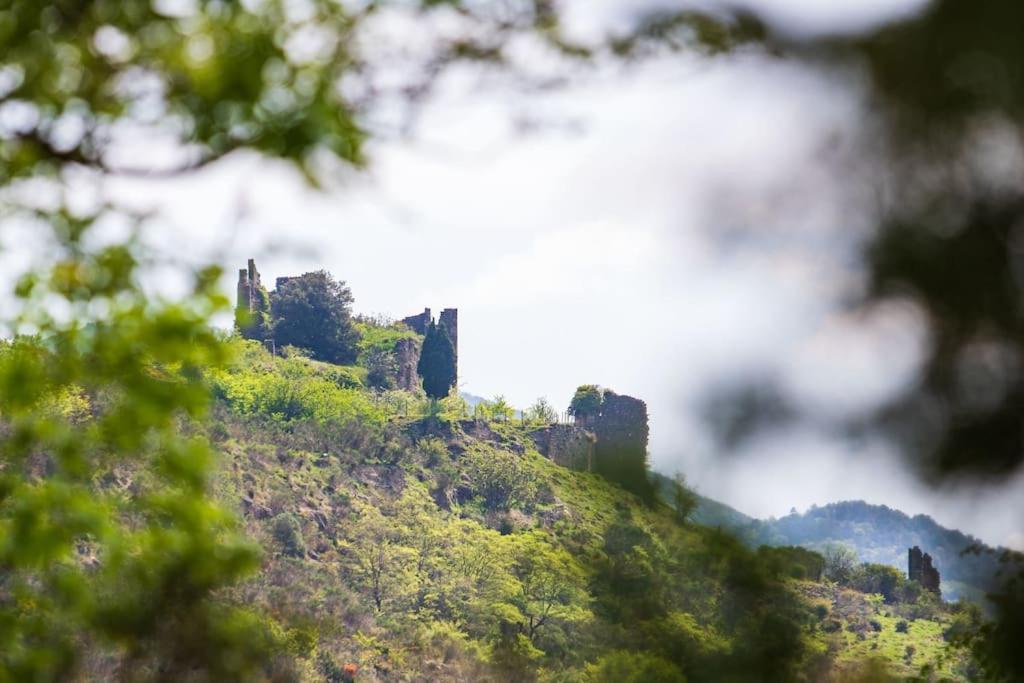 Villa Blanche, Contemporary, Cathars, Couiza, Carcassonne Exteriér fotografie