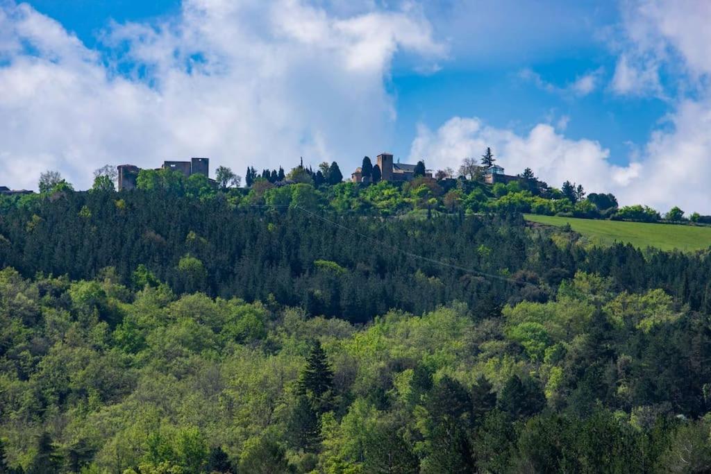 Villa Blanche, Contemporary, Cathars, Couiza, Carcassonne Exteriér fotografie
